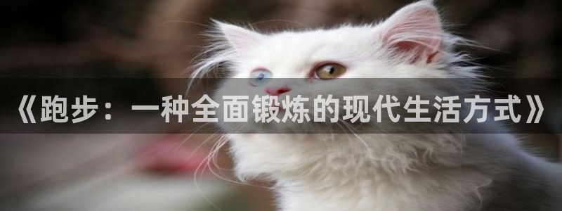 蜘蛛体育小狐狸图片：《跑步：一种全面锻炼的现代生活方式》