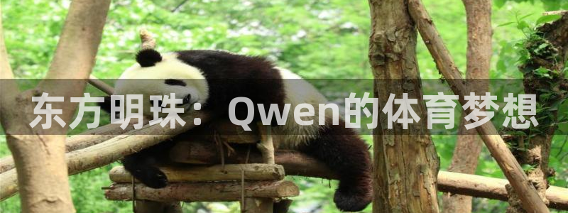 蜘蛛体育比赛：东方明珠：Qwen的体育梦想