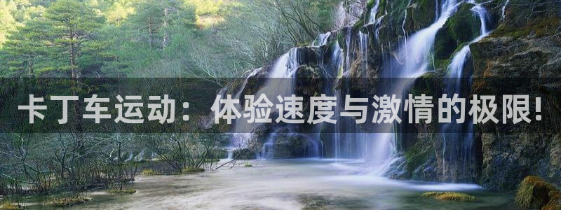蜘蛛体育官网免费直播nba：卡丁车运动：体验速度与激情的极限!
