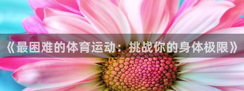 蜘蛛体育：《最困难的体育运动：挑战你的身体极限》