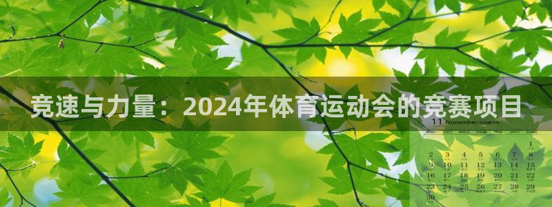 蜘蛛体育NBA直播免费观看：竞速与力量：2024年体育运动会的竞赛项目