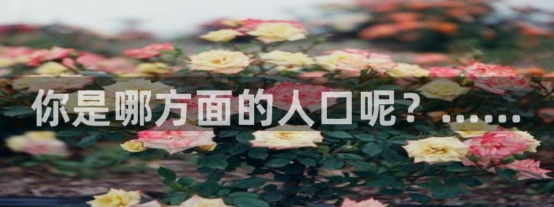 蜘蛛体育jrs：你是哪方面的人口呢？……