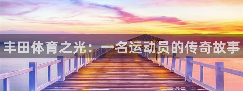 蜘蛛体育蓝球主播：丰田体育之光：一名运动员的传奇故事