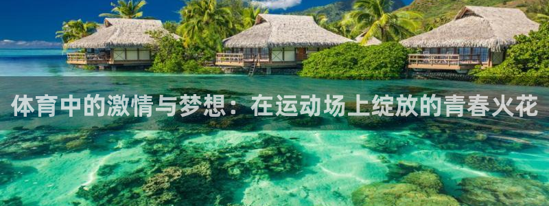 蜘蛛体育直播nba：体育中的激情与梦想：在运动场上绽放的青春火花