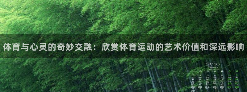 蜘蛛体育网球直播：体育与心灵的奇妙交融：欣赏体育运动的艺术价值和深远影响