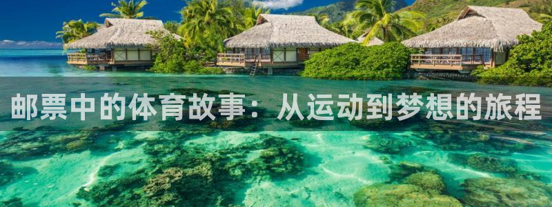 蜘蛛体育品牌：邮票中的体育故事：从运动到梦想的旅程