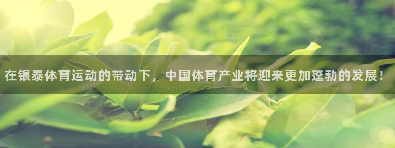 蜘蛛体育看不了：在银泰体育运动的带动下，中国体育产业将迎来更加蓬勃的发展！