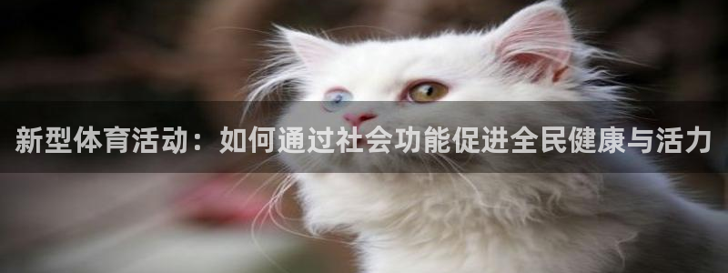 蜘蛛体育球帝带：新型体育活动：如何通过社会功能促进全民健康与活力