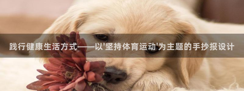 蜘蛛体育页面盛宴新版本.新安卓一.中国/昆明：践行健康生活方式——以\'坚持体育运动\'为主题的手抄报设计