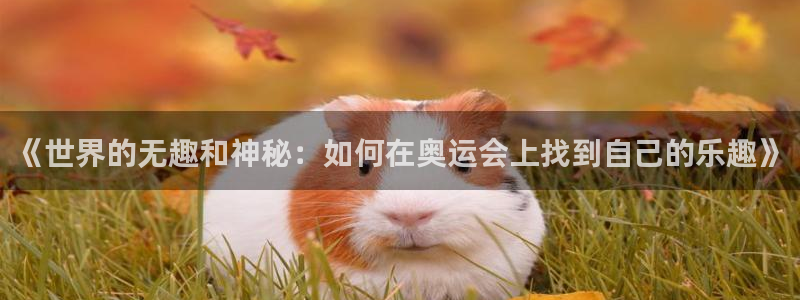 蜘蛛体育篮球直播：《世界的无趣和神秘：如何在奥运会上找到自己的乐趣》